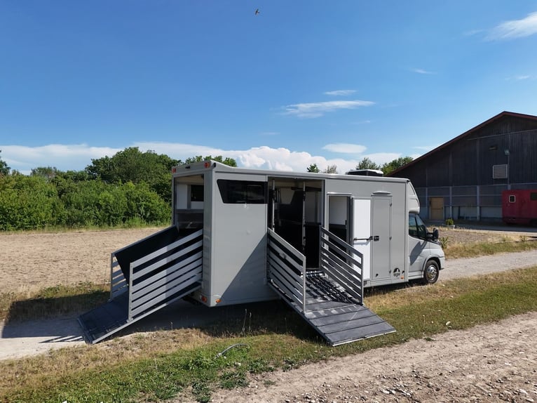 IVECO Daily RJH Sport Pro H3 Pferdetransporter Wohnkabine LKW TOP NEUWERTIG