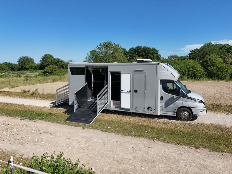 IVECO Daily RJH Sport Pro H3 Pferdetransporter Wohnkabine LKW TOP NEUWERTIG
