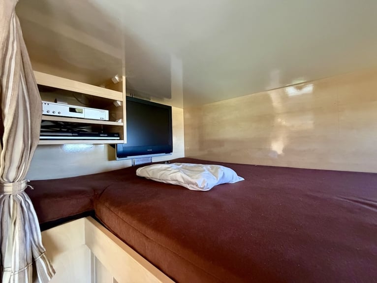 MAN 15.280 Gimmel Trasporto Cavalli con Alloggio, WC e Doccia, Furgone per 5 Cavalli, Casella da Tor