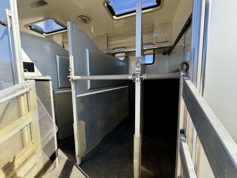 MAN 15.280 Gimmel Trasporto Cavalli con Alloggio, WC e Doccia, Furgone per 5 Cavalli, Casella da Tor