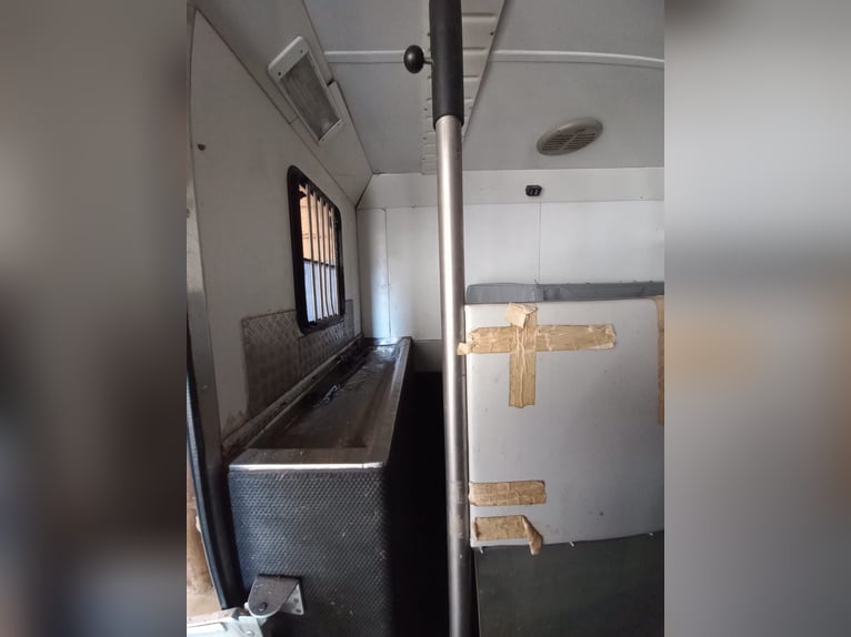 Pferde LKW mit Wohnkabine zu verkaufen Pferde LKW mit Wohnkabine zu verkaufen