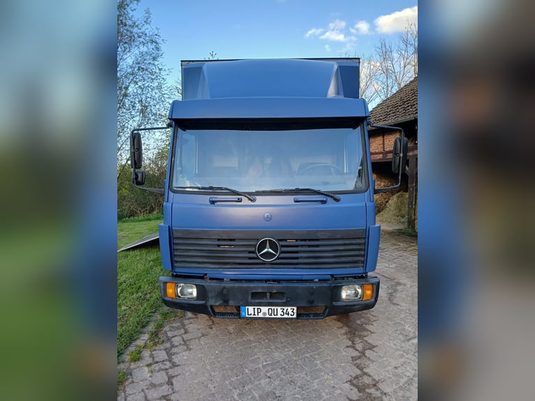 Pferdetransporter MB 814, 5 Pferde, Steinsberger Aufbau, Pferde einzeln abladbar