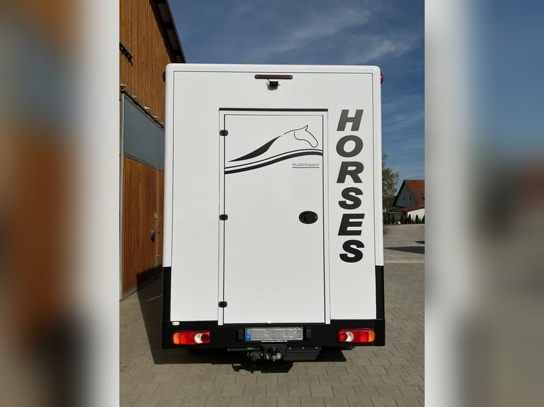 Renault Master con allestimento multifunzionale MSG-Stablehopper, cambio automatico, 3,5 tonnellate