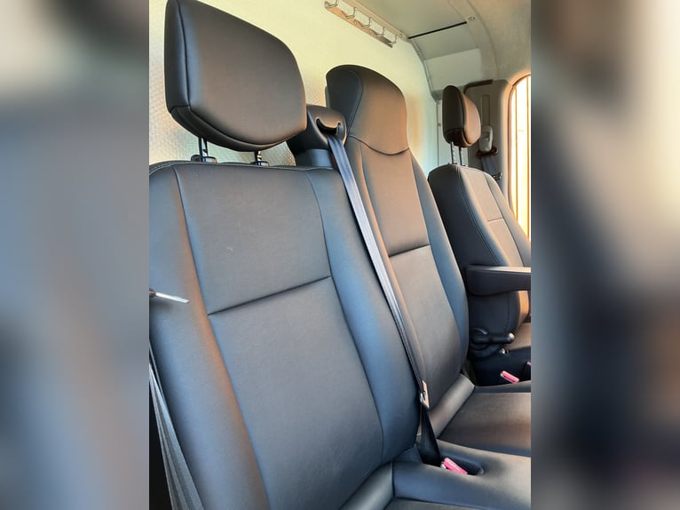 Renault Master con allestimento multifunzionale MSG-Stablehopper, cambio automatico, 3,5 tonnellate