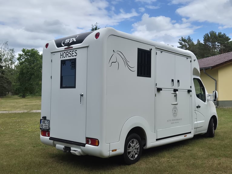 Renault Master STX Trasporto cavalli | Cambio automatico | 170 CV | 3,5 tonnellate | 34.700 km
