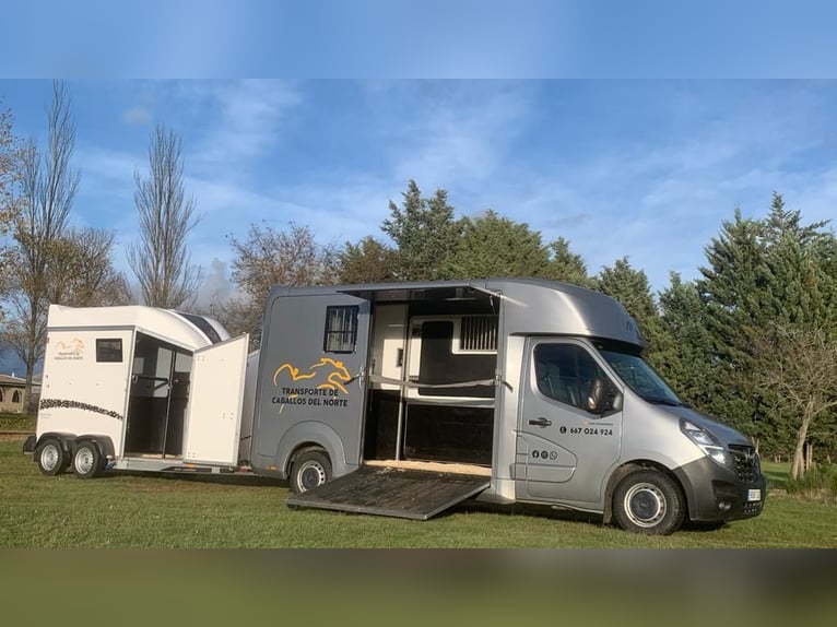 Transporte de Caballos en España