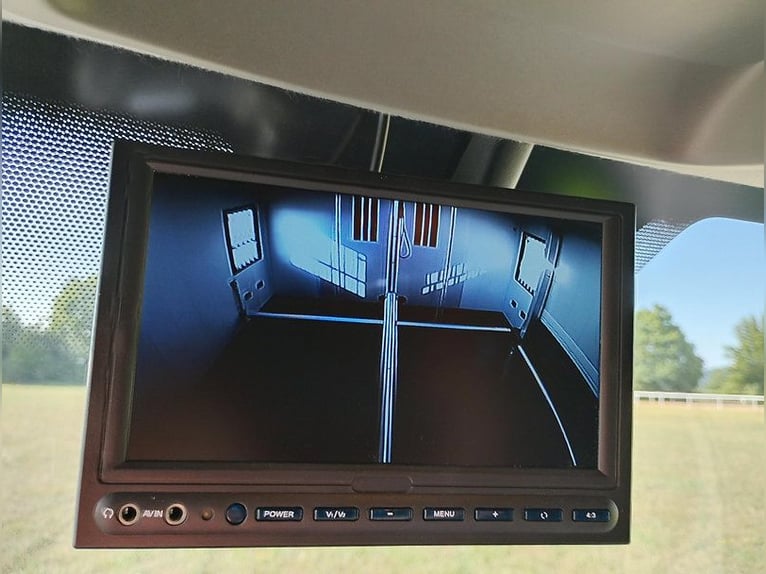 Trasportatore di cavalli Roelofsen automatico, con soli 49.600 km. Trasporto di bestiame con conduce