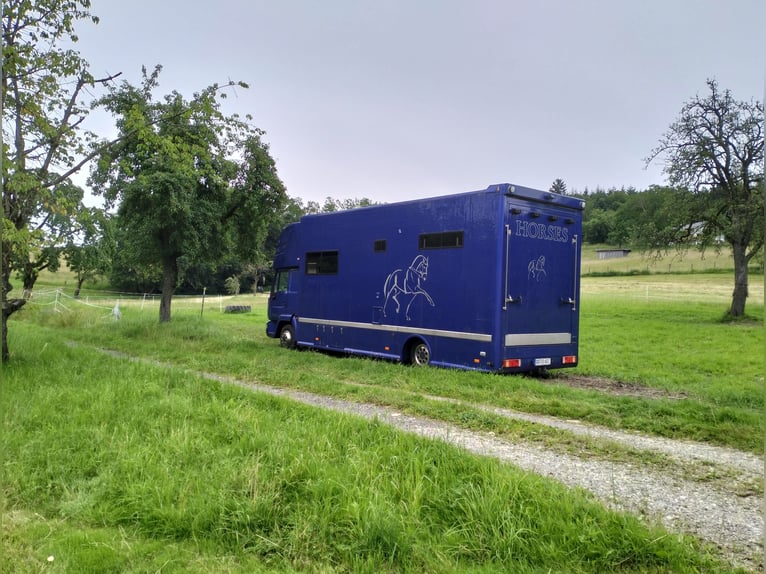 Trasportatore per cavalli / Camper
