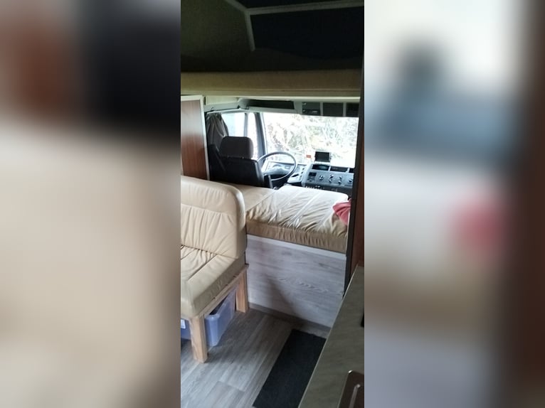 Trasportatore per cavalli / Camper