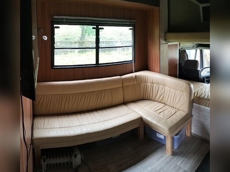 Trasportatore per cavalli / Camper