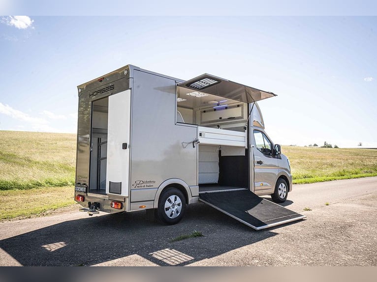 Trasporto cavalli 2 Ride Automatic Renault Master Trasporto animali Horsevan Horsetruck Autonomo
