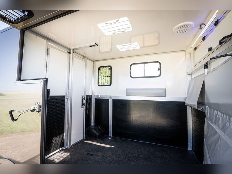 Trasporto cavalli 2 Ride Automatic Renault Master Trasporto animali Horsevan Horsetruck Autonomo