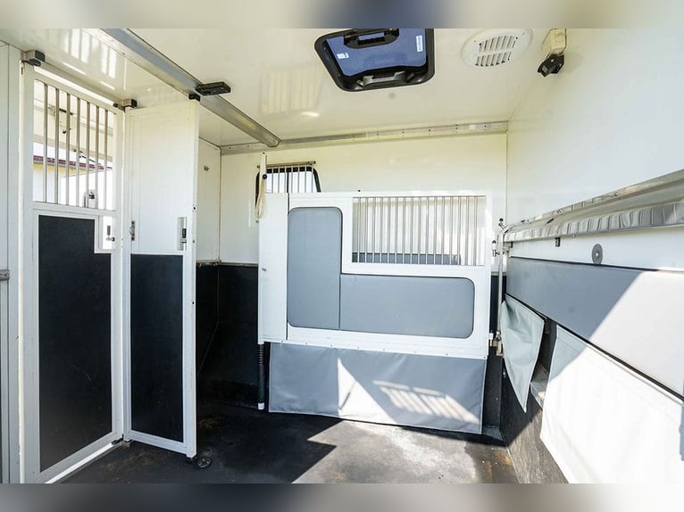 Trasporto cavalli, allestimento stallone, 5 posti, con soli 43.300 km, climatizzatore, navigatore, t