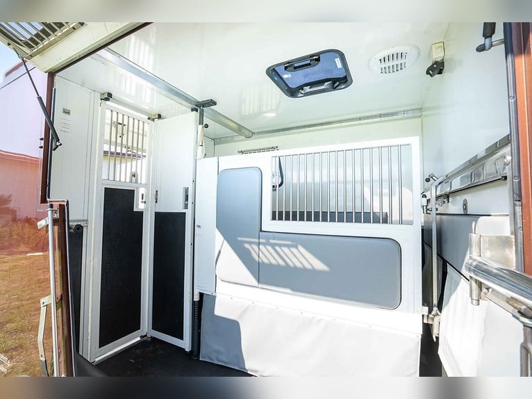 Trasporto cavalli, allestimento stallone, 5 posti, con soli 43.300 km, climatizzatore, navigatore, t