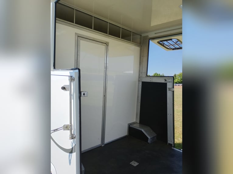 Trasporto cavalli con doppia rampa laterale, solo 20.500 km, trasporto bestiame e animali, camion pe