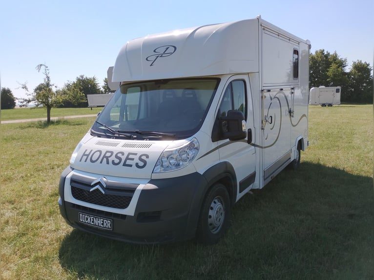 Trasporto cavalli con doppia rampa laterale, solo 20.500 km, trasporto bestiame e animali, camion pe