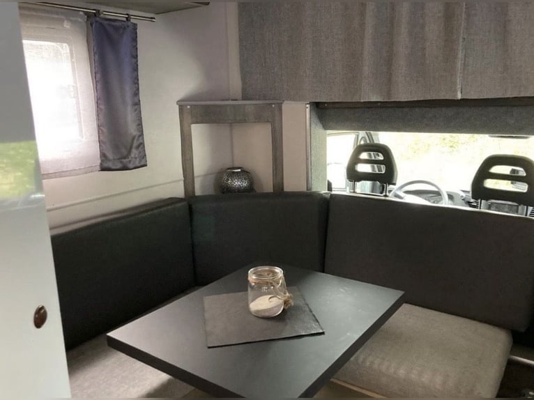 Trasporto cavalli Iveco Daily per 3 cavalli con caravanetta abitabile