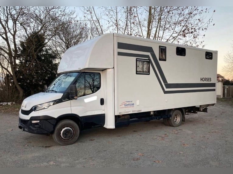 Trasporto cavalli Iveco Daily per 3 cavalli con caravanetta abitabile