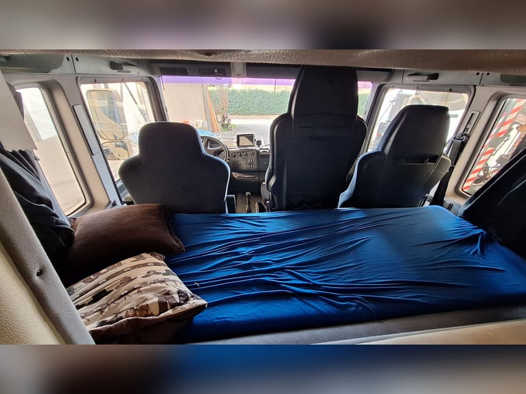 Trasporto cavalli MAN camion per trasporto equini con cabina abitativa, 4 cavalli
