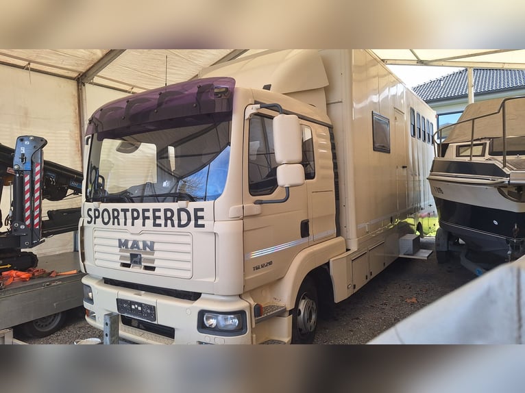 Trasporto cavalli MAN camion per trasporto equini con cabina abitativa, 4 cavalli