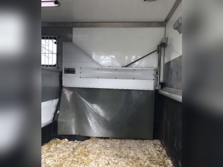 Trasporto cavalli / Opel Movano – condizioni eccellenti – Böckmann