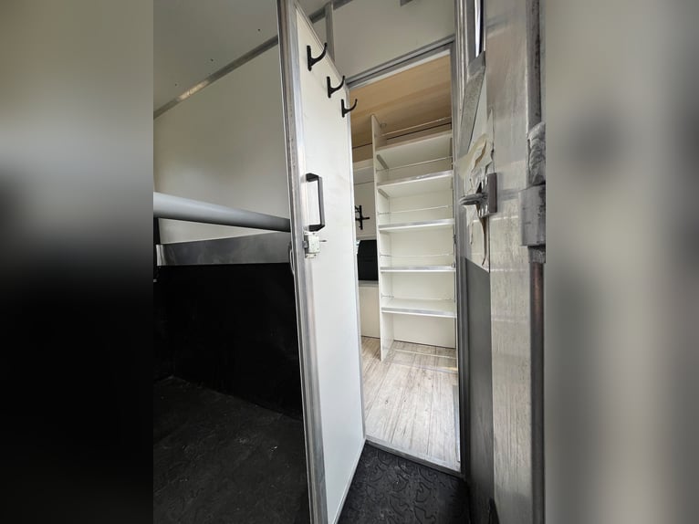 Trasporto cavalli per 4 equini, MAN TGL 8.180