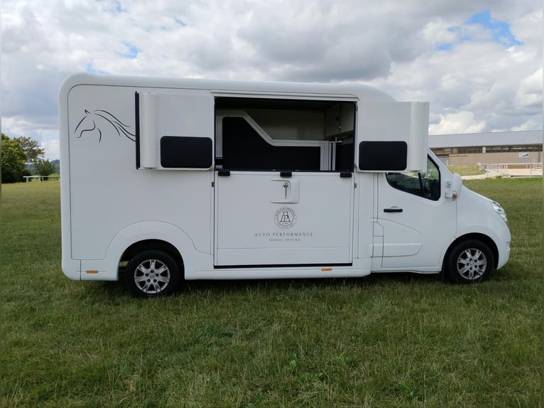 Trasporto cavalli Renault Master automatico, solo 35.300 km, 170 CV, trasportatore di bestiame, auti