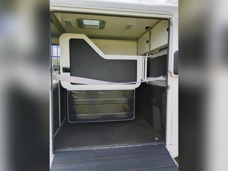 Trasporto cavalli Renault Master automatico, solo 35.300 km, 170 CV, trasportatore di bestiame, auti