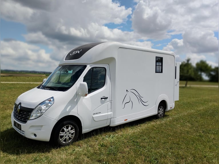 Trasporto cavalli Renault Master automatico, solo 35.300 km, 170 CV, trasportatore di bestiame, auti