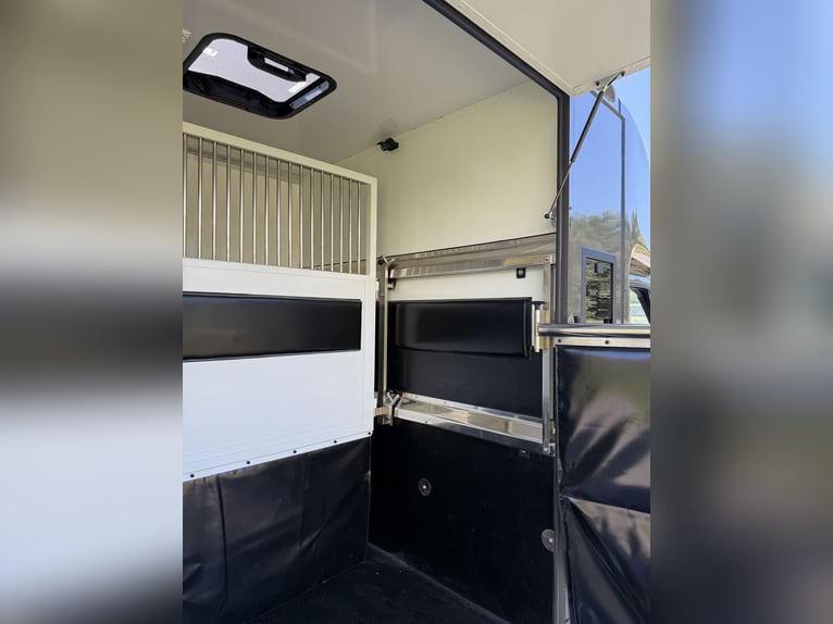 Trasporto cavalli Renault Master, nuovo allestimento con 5 posti, adatto per stalloni