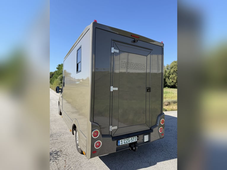 Trasporto cavalli Renault Master, nuovo allestimento con 5 posti, adatto per stalloni