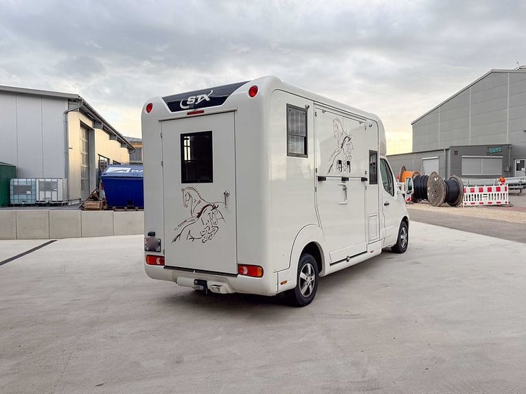Trasporto cavalli STX a 5 posti, con cambio automatico, autista incluso, trasporto bestiame