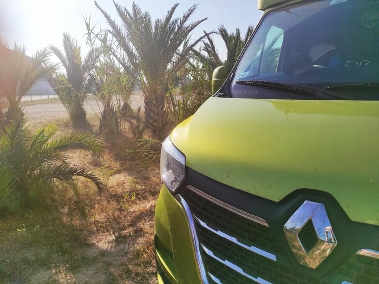 Trasporto internazionale di cavalli