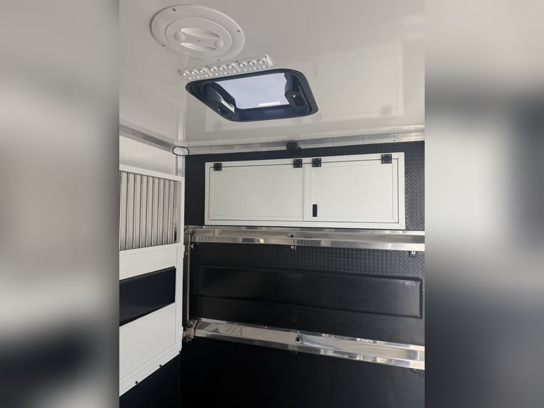 Volkswagen Crafter 4x4 (4Motion) 2023 Nuovo Furgone per Trasporto Cavalli per Stallone