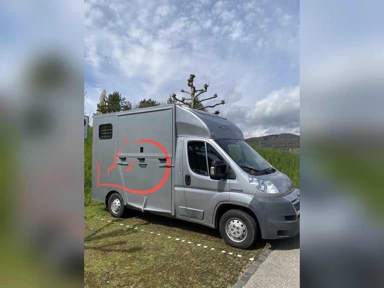 ZU VERKAUFEN: Selbstfahrer Citroen Jumper 2