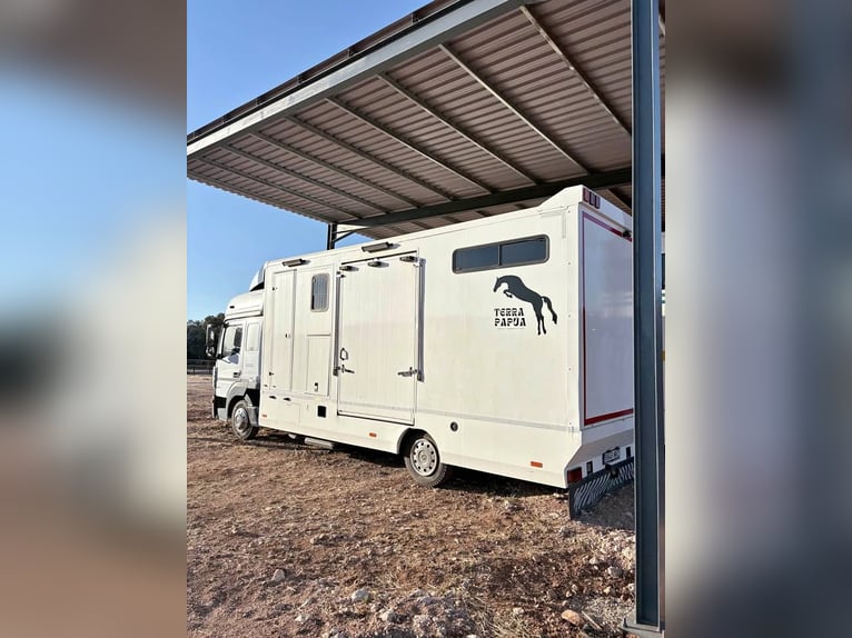 Camion Mercedes-Benz Atego attrezzato per il trasporto di cavalli