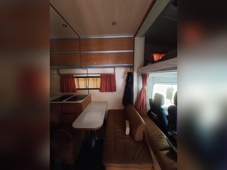 Camion per trasporto cavalli con living a buon prezzo, in vendita urgente a causa di imminente sosti