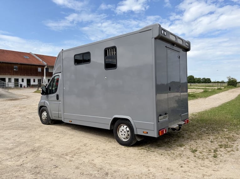 Citroën Jumper trasporto cavalli per 2 cavalli, veicolo usato, 3 posti