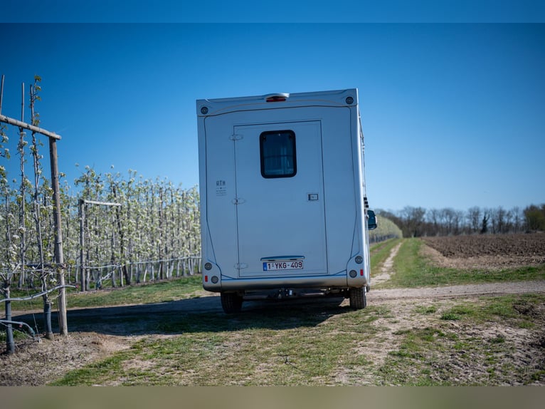 FIAT - DUCATO (2020)