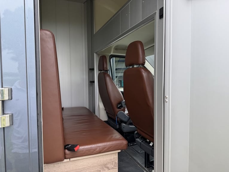FIAT Ducato Böckmann Compact trasportatore per 2 cavalli con cambio automatico, 5 posti, veicolo usa