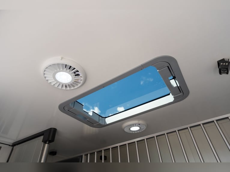 Ford Roelofsen Parados Sport 2-Pferdetransporter Deluxe Edition - Automatik - Sofort verfügbar!