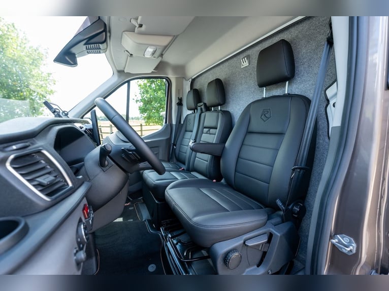 Ford Roelofsen Parados Sport Trasporto 2 Cavalli Edizione Deluxe – Automatico – Disponibile immediat