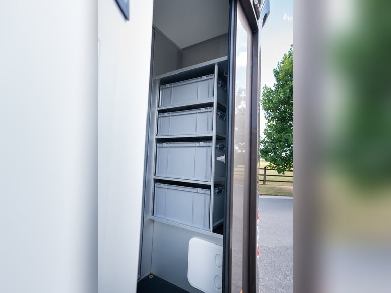 Ford Roelofsen Parados Sport Trasporto 2 Cavalli Edizione Deluxe – Automatico – Disponibile immediat