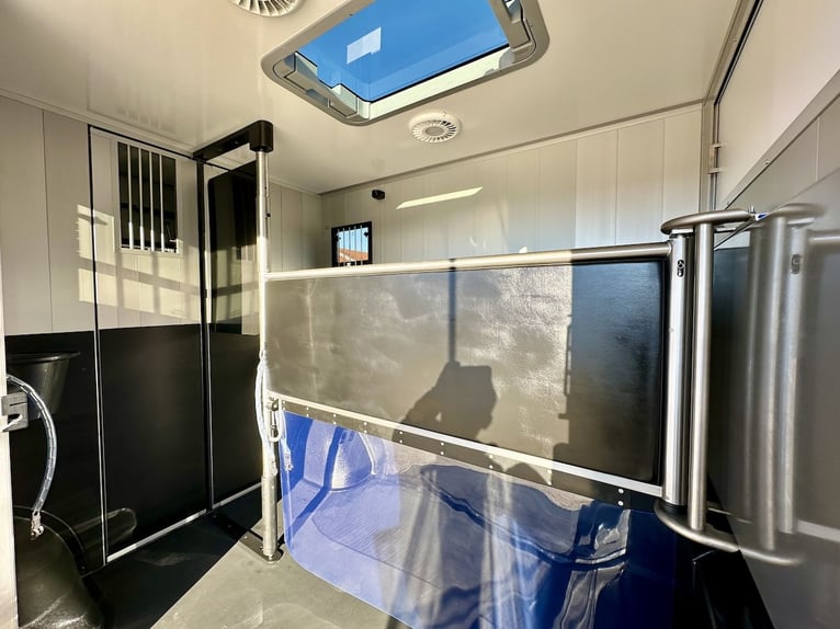 Ford Roelofsen Parados Sport Trasporto 2 Cavalli Edizione Deluxe – Automatico – Disponibile immediat