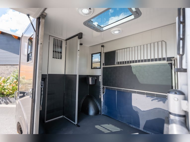 Ford Roelofsen Parados Sport Trasporto 2 Cavalli Edizione Deluxe – Automatico – Disponibile immediat