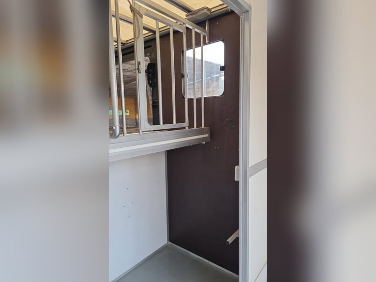 Furgone per 2 cavalli, modello Traylona Renault Master