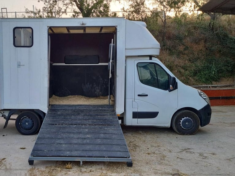Furgone per 2 cavalli, modello Traylona Renault Master