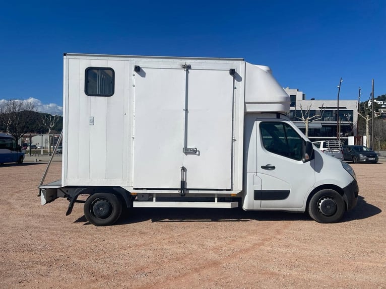 Furgone per 2 cavalli, modello Traylona Renault Master