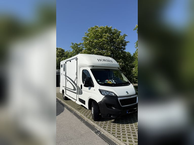 Furgone per trasporto cavalli da 3,5 tonnellate