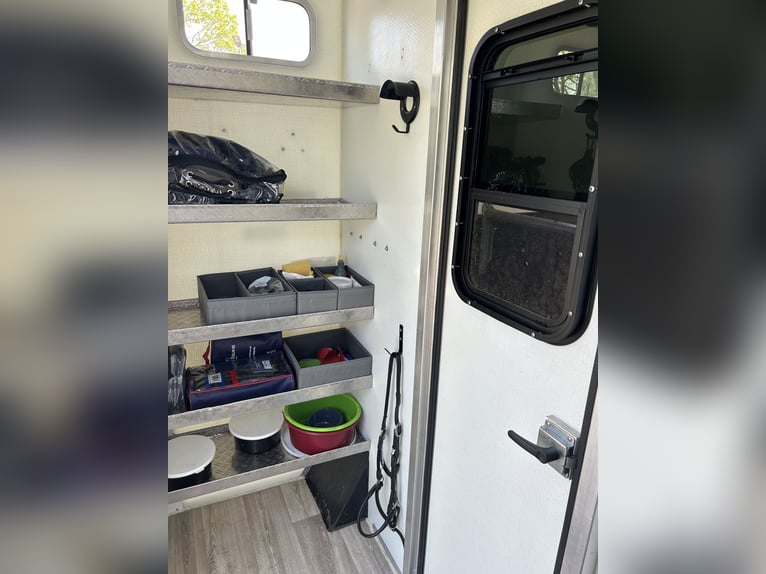 Furgone per trasporto cavalli da 3,5 tonnellate